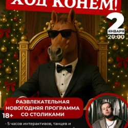 Развлекательная новогодняя программа «ХОД КОНЕМ»
