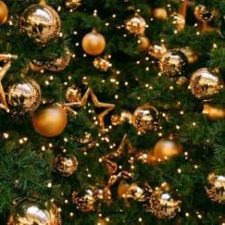 Новогодняя концертная программа