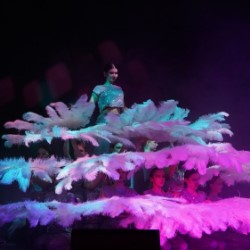 Отчетный концерт ансамбля танца «Вдохновение»