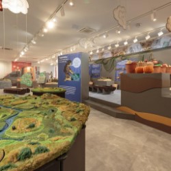 Экскурсия «10 000 лет до Тульского кремля»