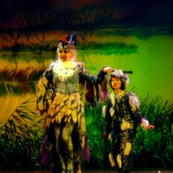 Гадкий утёнок