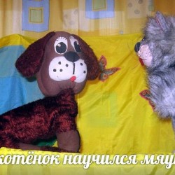Как котенок научился мяукать
